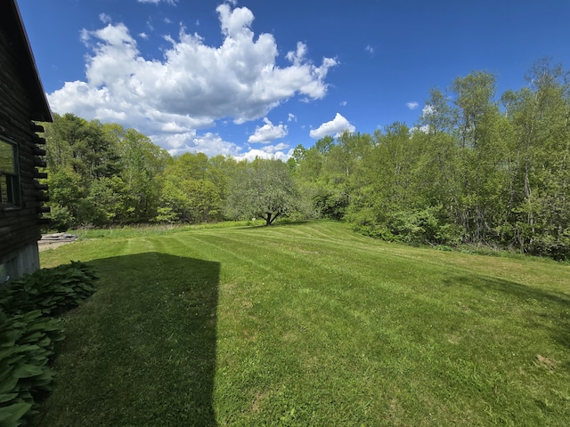369 Hawes Bridge Rd, Prospect, ME 04981 - view of green lawn featuring a forest view