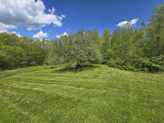 369 Hawes Bridge Rd, Prospect, ME 04981 - view of grassy yard featuring a forest view