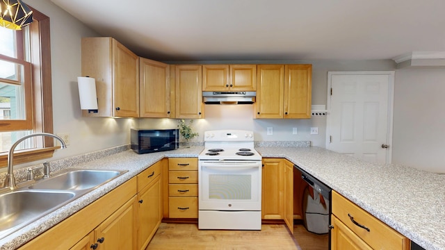 kitchen with electric stove, under cabinet range hood, black dishwasher, a sink, and light wood-type flooring