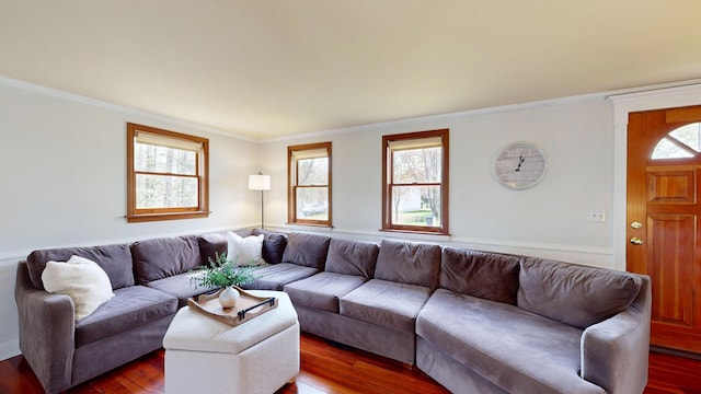 living area with wood finished floors and ornamental molding
