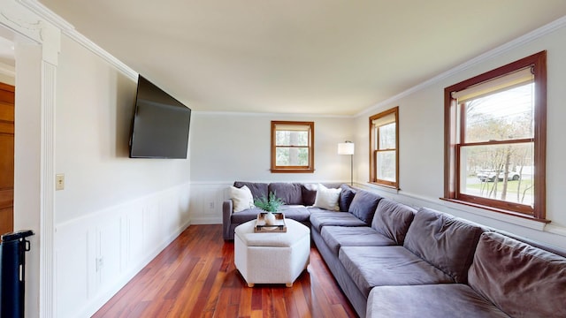 living room with dark wood-type flooring, crown molding, and wainscoting