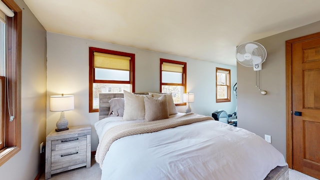 bedroom with multiple windows and light carpet