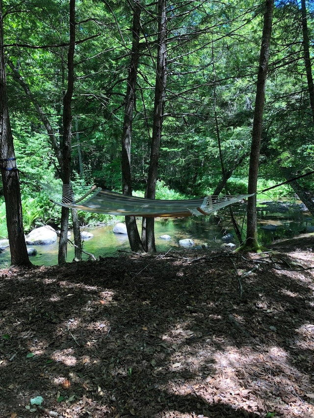 573 Exeter Rd, Corinth, ME 04427 - view of wooded area