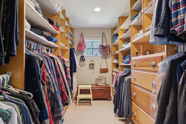 spacious closet with light carpet