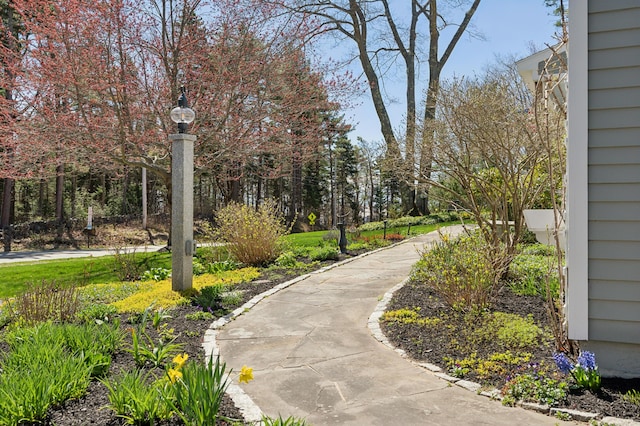 view of property's community
