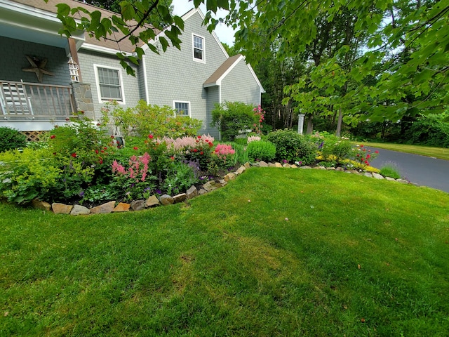 view of yard with a ceiling fan