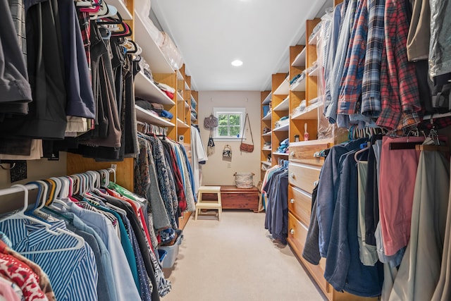 59 Beach Ave, Kennebunk, ME 04043 - spacious closet featuring light carpet