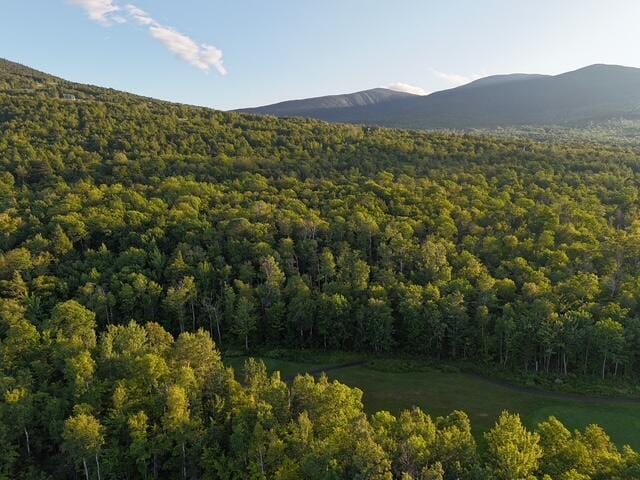 6099 Village On The Green Rd, Carrabassett Valley, ME 04947 - photo 8