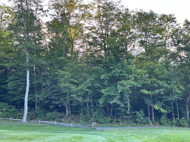 6099 Village On The Green Rd, Carrabassett Valley, ME 04947 - photo 3