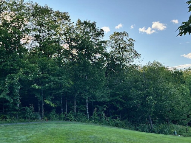 6099 Village On The Green Rd, Carrabassett Valley, ME 04947 - photo 4