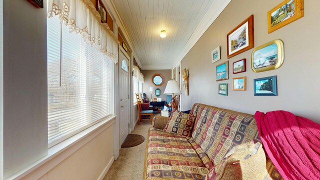 150 Enfield Rd, Lincoln, ME 04457 - carpeted living room with crown molding