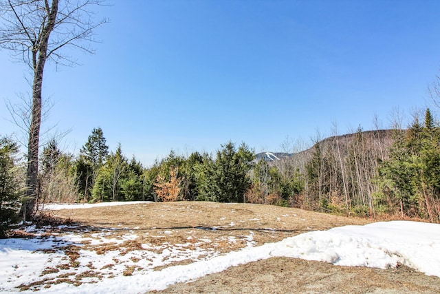 28 First St, Bethel, ME 04217 - view of mountain background featuring a forest