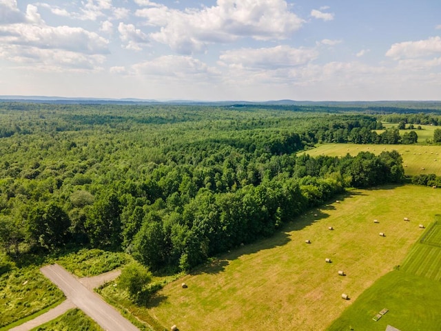 aerial view with a forest view