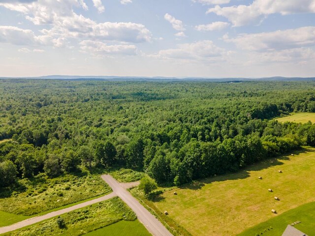 bird's eye view featuring a wooded view