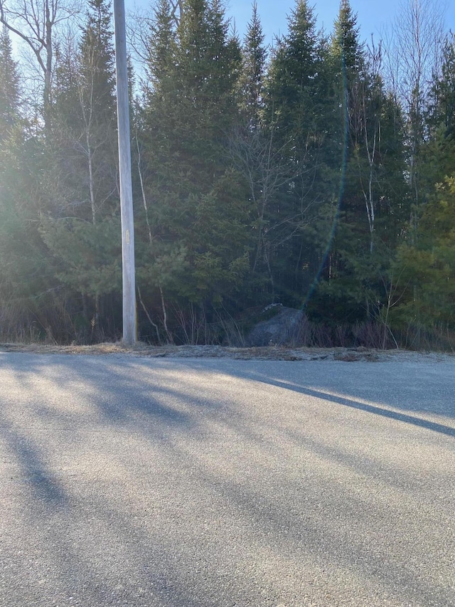 LOT5 Ash Ln, Surry, ME 04684