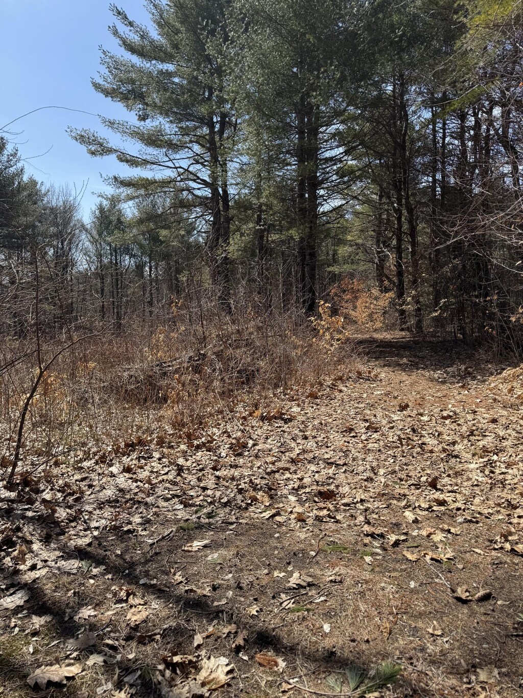 TBD Pine Hill Rd, Casco, ME 04015