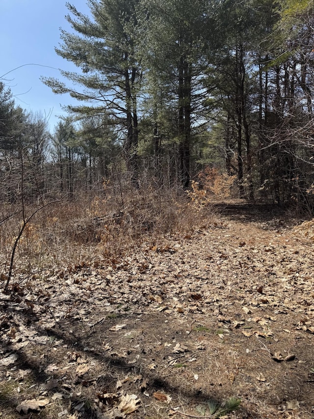 TBD Pine Hill Rd, Casco, ME 04015