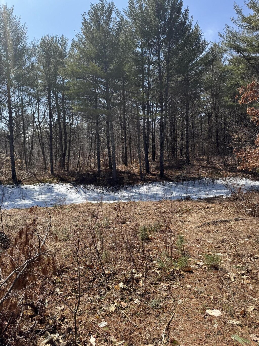 TBD Pine Hill Rd, Casco, ME 04015
