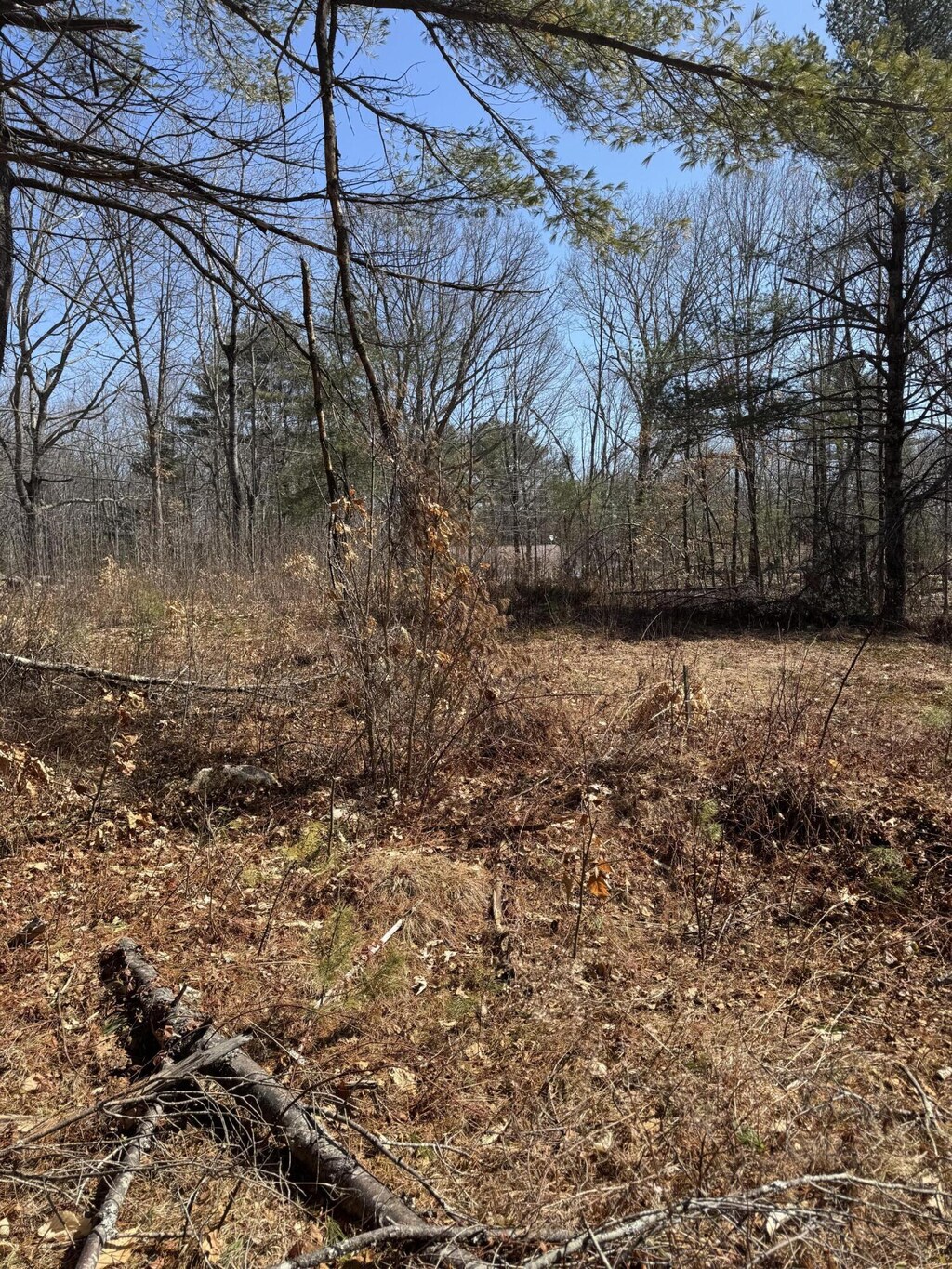 TBD Pine Hill Rd, Casco, ME 04015