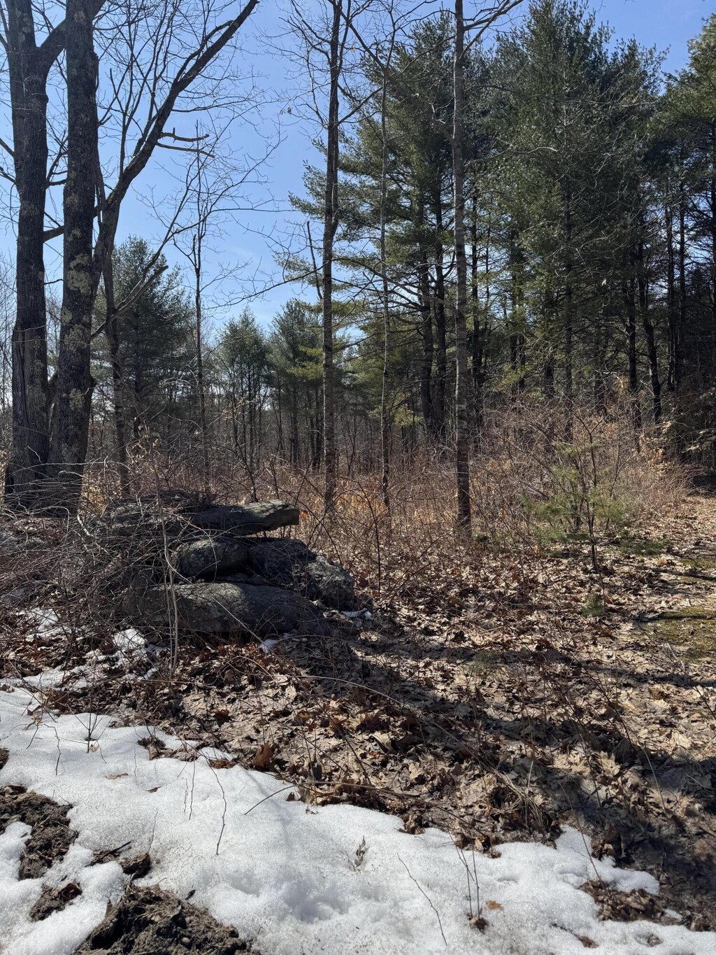 TBD Pine Hill Rd, Casco, ME 04015