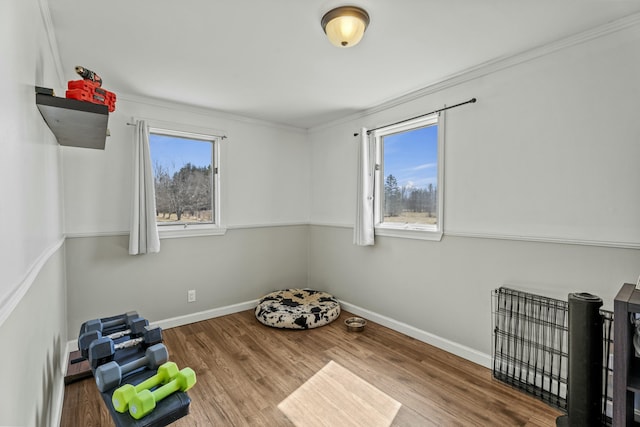 834 Main St, Bradley, ME 04411 - interior space with baseboards, a healthy amount of sunlight, and wood finished floors