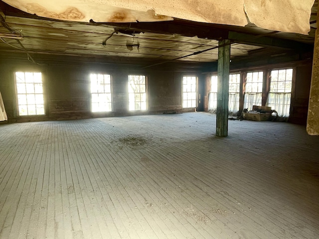 basement featuring a wealth of natural light and hardwood / wood-style flooring