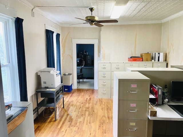 132 E Main St, Dover-Foxcroft, ME 04426 - office space with ceiling fan, crown molding, and light wood finished floors