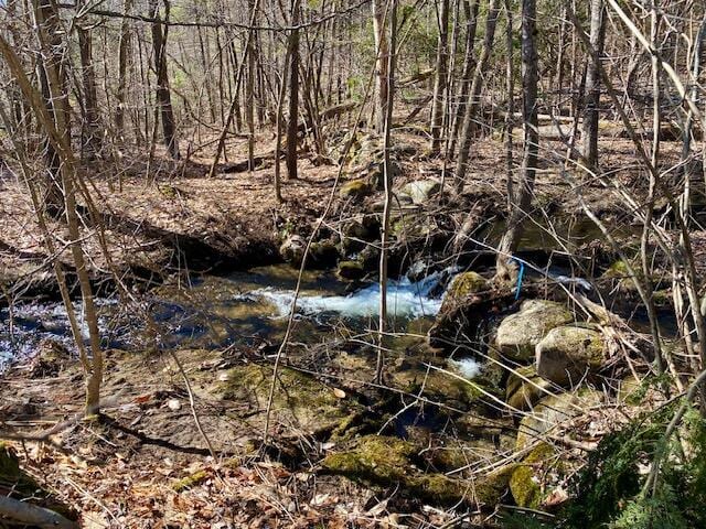 178 Maplecrest Rd, Parsonsfield, ME 04047 - view of landscape
