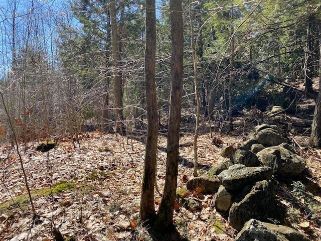 178 Maplecrest Rd, Parsonsfield, ME 04047 - view of local wilderness