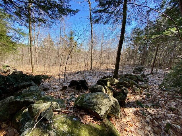 178 Maplecrest Rd, Parsonsfield, ME 04047 - view of landscape featuring a view of trees
