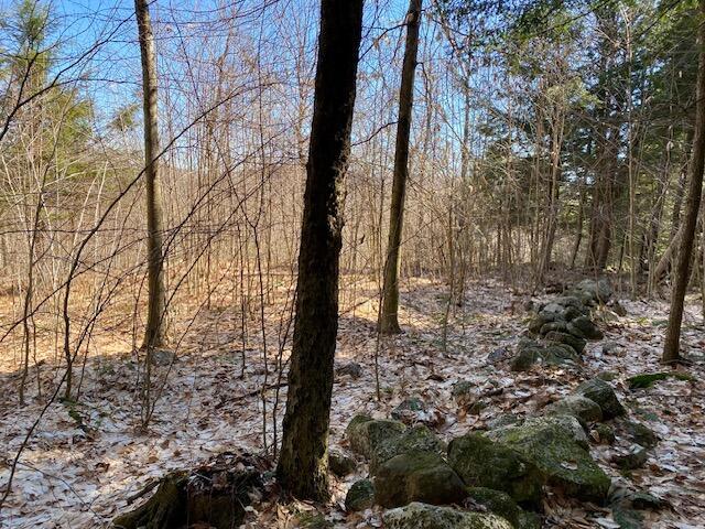 178 Maplecrest Rd, Parsonsfield, ME 04047 - view of landscape with a forest view