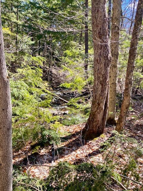 178 Maplecrest Rd, Parsonsfield, ME 04047 - view of nature featuring a view of trees