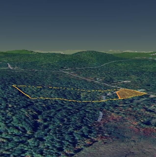 178 Maplecrest Rd, Parsonsfield, ME 04047 - bird's eye view with a mountain view