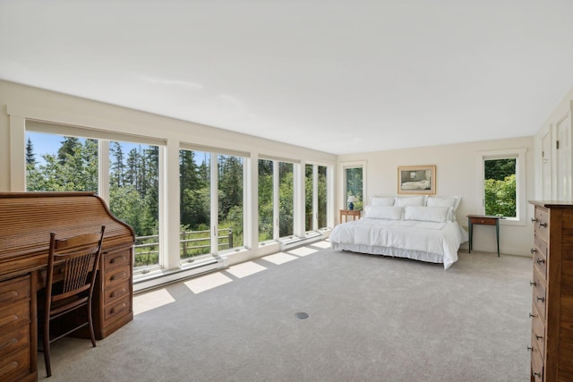 174 Pink St, Saint George, ME 04860 - photo 58