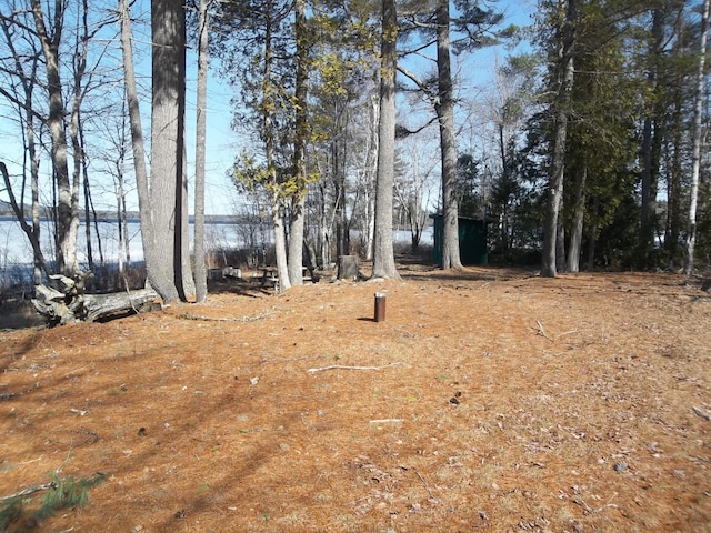 8 Varney Loop, Crawford, ME 04694 - view of yard