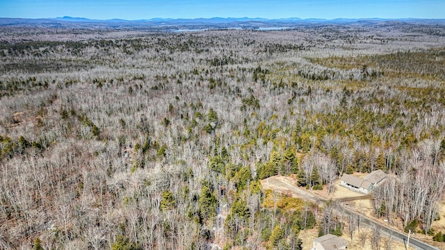 36 Rowe Ln, Oakland, ME 04963 - photo 1
