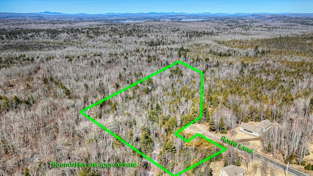 36 Rowe Ln, Oakland, ME 04963 - photo 3