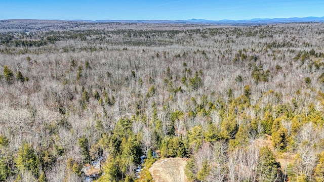 36 Rowe Ln, Oakland, ME 04963 - photo 5