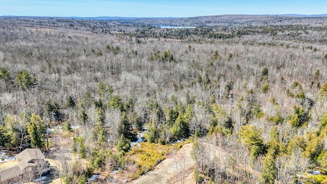 36 Rowe Ln, Oakland, ME 04963 - photo 6