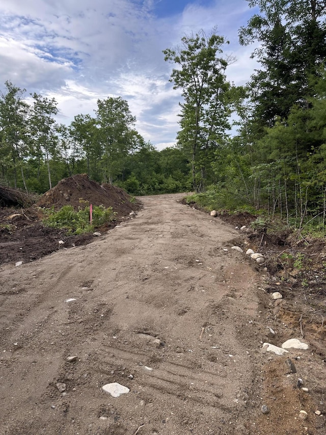 30 Paxton Drive Ext., Standish, ME 04084 - photo 3