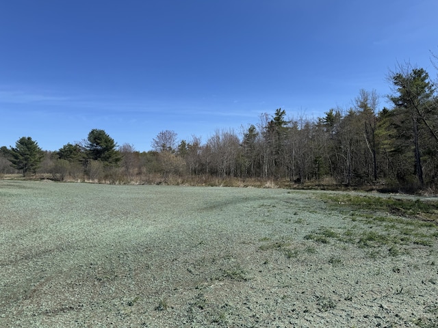 view of landscape with a forest view
