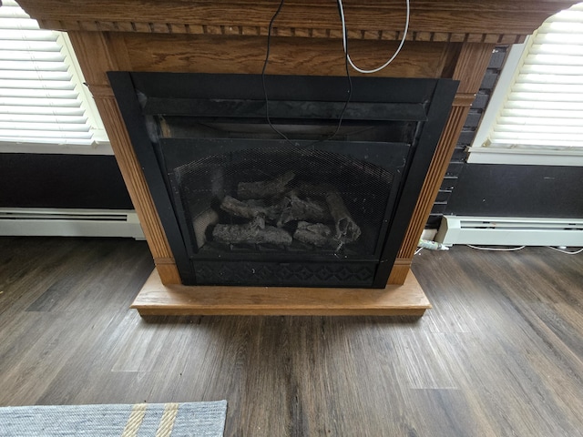 details with a fireplace with raised hearth, wood finished floors, and a baseboard radiator