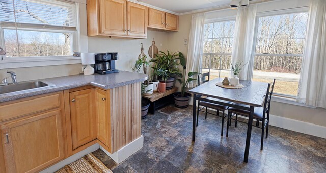 4 Burgess Rd, Guilford, ME 04443 - kitchen featuring a sink, baseboards, and a wealth of natural light