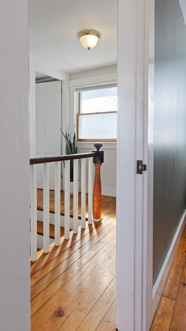 4 Burgess Rd, Guilford, ME 04443 - hall featuring baseboards and hardwood / wood-style flooring