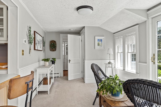 294 E Pond Rd, Jefferson, ME 04348 - home office featuring wainscoting, a textured ceiling, light carpet, plenty of natural light, and vaulted ceiling
