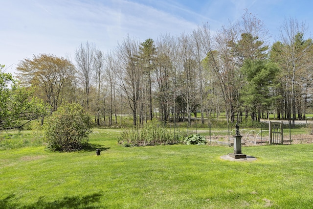 294 E Pond Rd, Jefferson, ME 04348 - view of green lawn