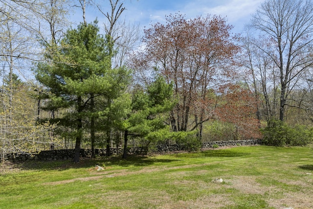 294 E Pond Rd, Jefferson, ME 04348 - view of green lawn