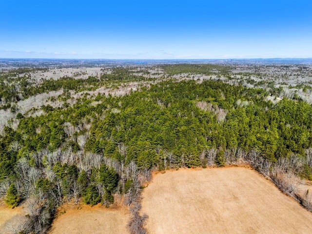 795 Bremen Rd, Waldoboro, ME 04572 - birds eye view of property with a forest view