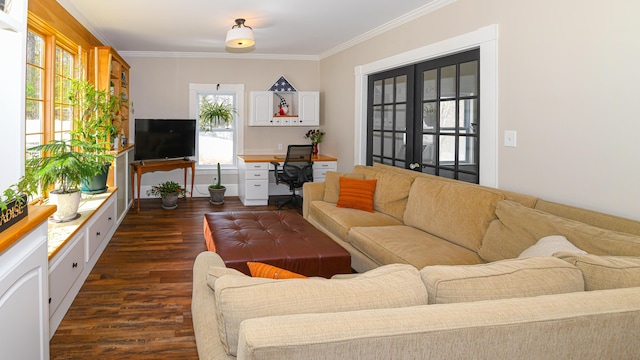 257 S Rumford Rd, Rumford, ME 04276 - living room featuring dark wood finished floors, healthy amount of natural light, ornamental molding, and an office area