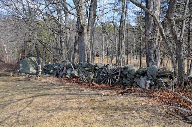 23 Park St, West Paris, ME 04289 - view of yard with a wooded view